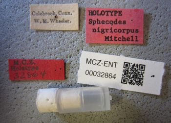 Media type: image;   Entomology 32864 Aspect: labels